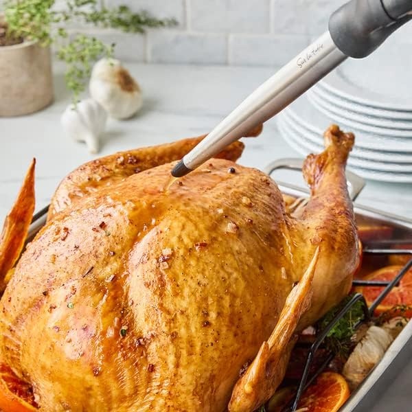 image:imageSur La Table Stainless Steel Baster Angled Nozzle Design with Removable Nylon Tip for Turkey Chicken and Roasts