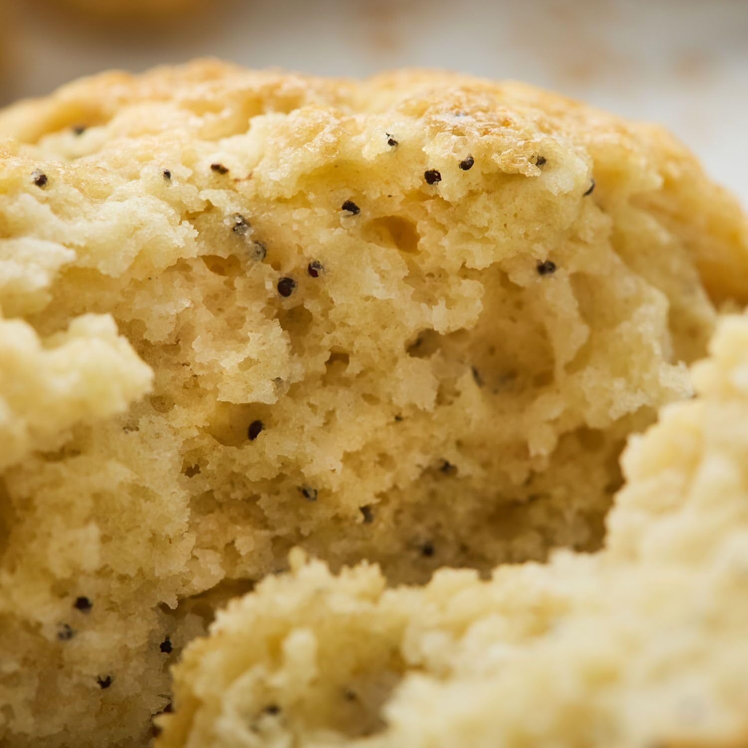 image:imageSur La Table Lemon Poppyseed Scone Mix Yellow