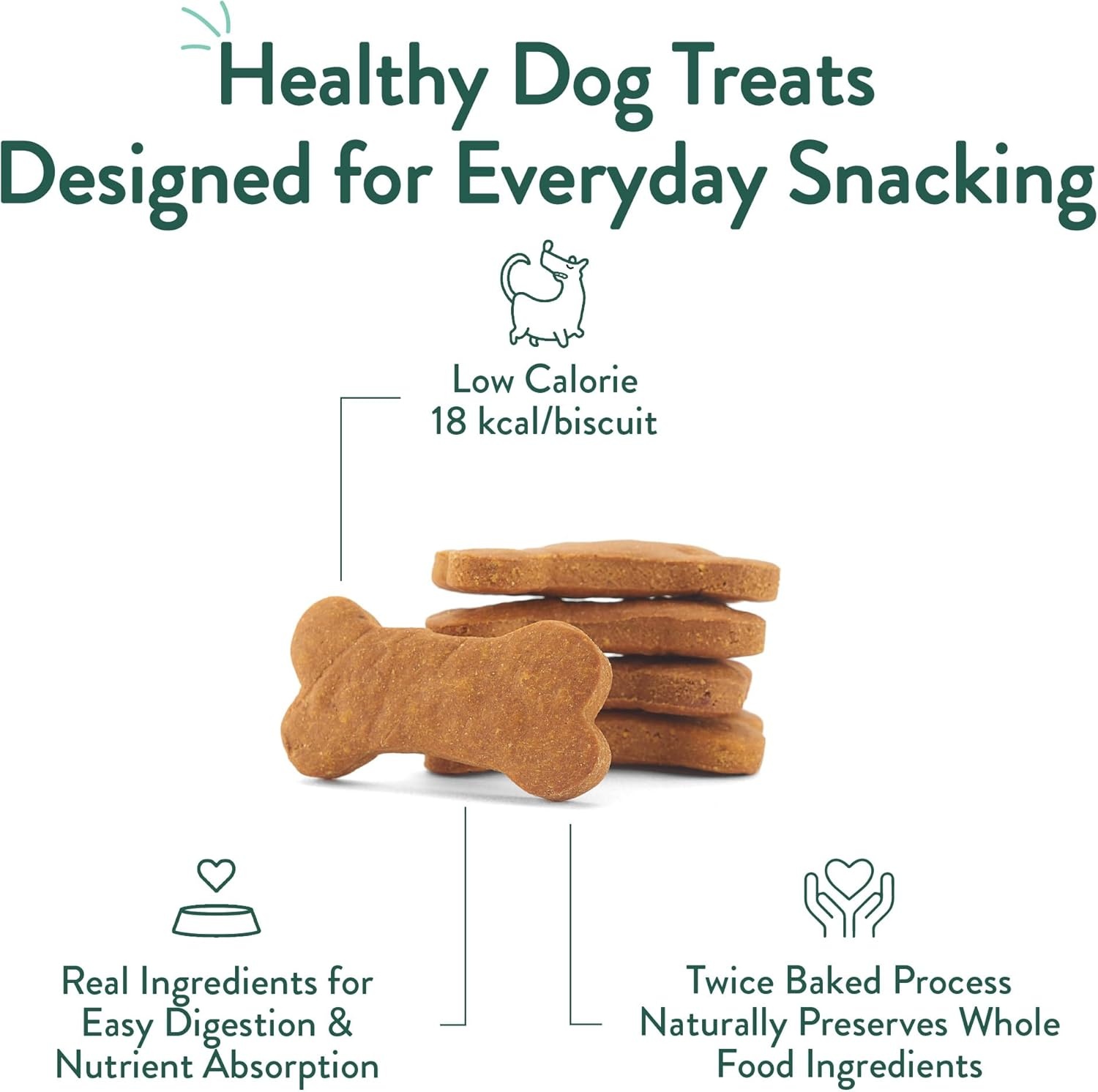 image:imagePortland Pet Food Company Pumpkin Dog Treats Healthy Biscuits for Small Medium amp Large Dogs GrainFree HumanGrade All Natural Cookies Snacks amp Puppy Training Treats Made in The USA 5 ozPumpkin