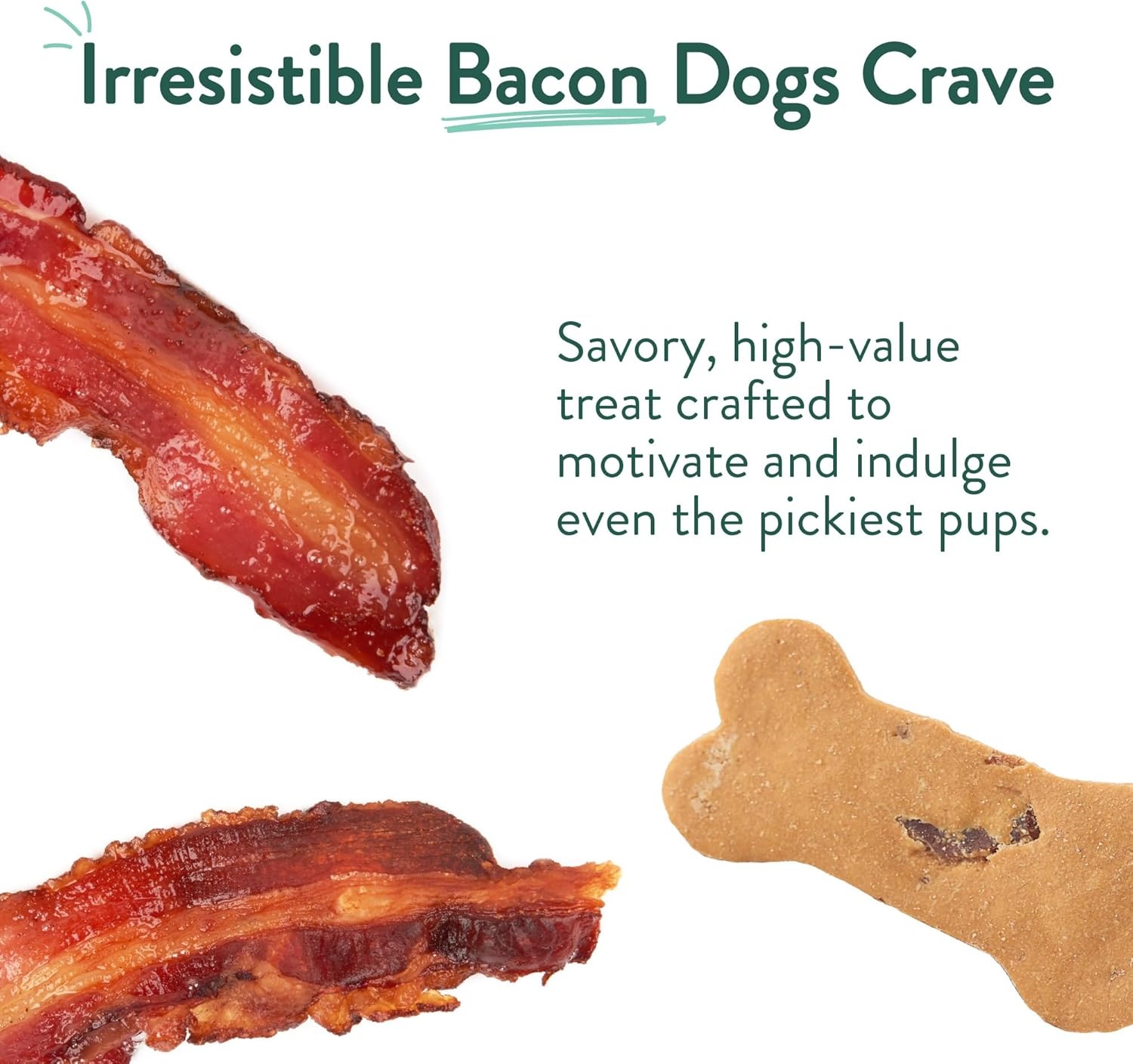 image:imagePortland Pet Food Company Pumpkin Dog Treats Healthy Biscuits for Small Medium amp Large Dogs GrainFree HumanGrade All Natural Cookies Snacks amp Puppy Training Treats Made in The USA 5 ozBacon