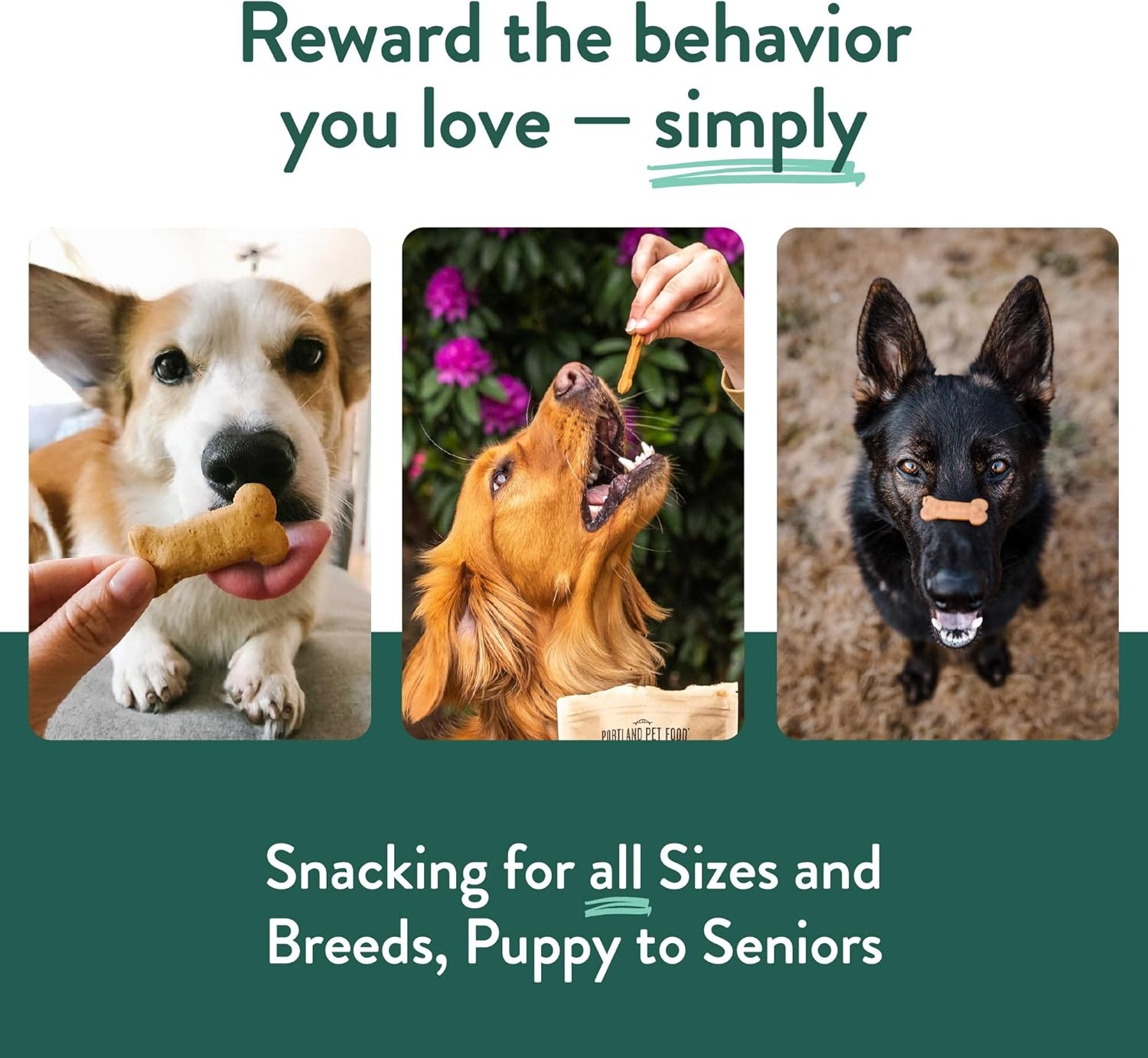 image:imagePortland Pet Food Company Pumpkin Dog Treats Healthy Biscuits for Small Medium amp Large Dogs GrainFree HumanGrade All Natural Cookies Snacks amp Puppy Training Treats Made in The USA 5 ozVegan Variety