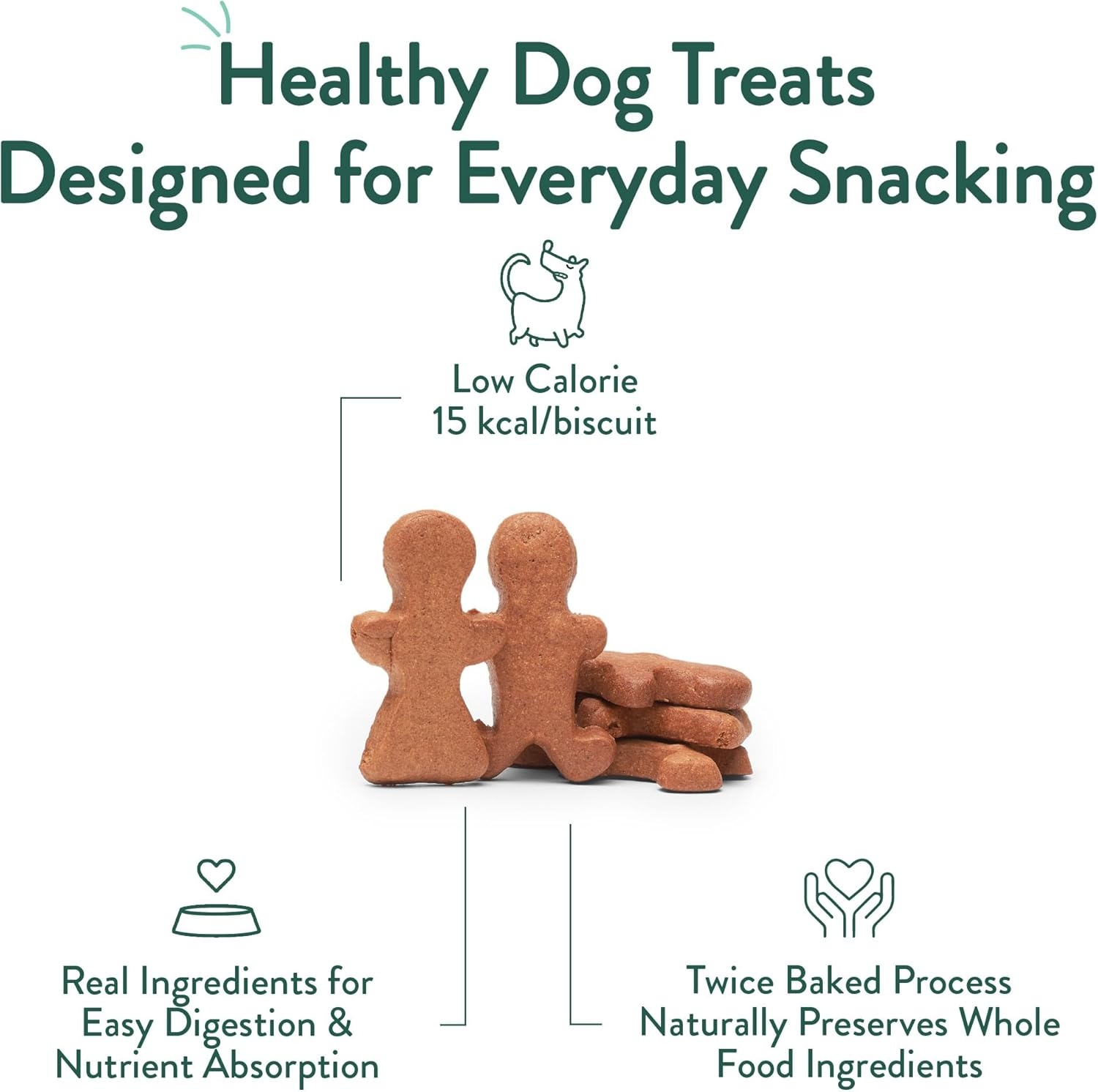 image:imagePortland Pet Food Company Pumpkin Dog Treats Healthy Biscuits for Small Medium amp Large Dogs GrainFree HumanGrade All Natural Cookies Snacks amp Puppy Training Treats Made in The USA 5 ozGingerbread
