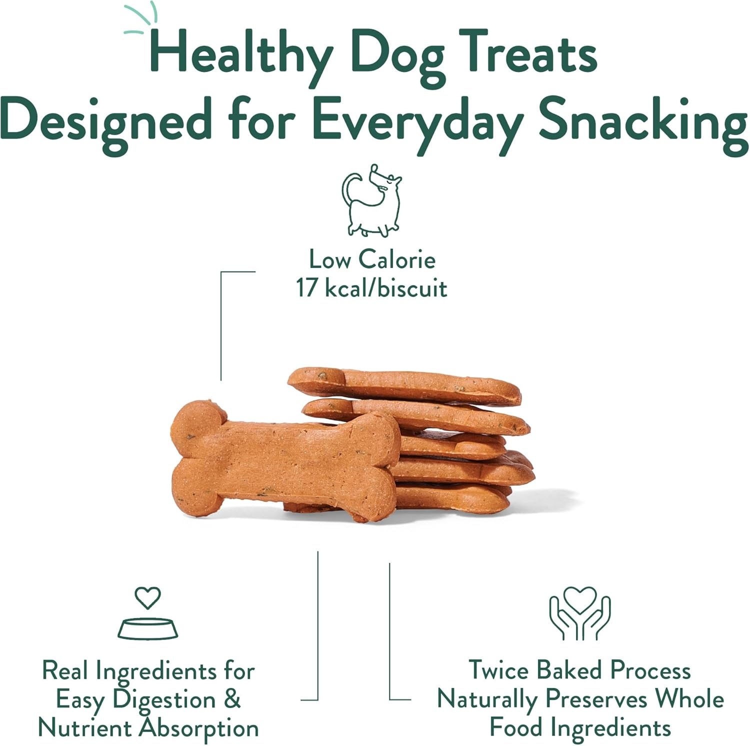 image:imagePortland Pet Food Company Pumpkin Dog Treats Healthy Biscuits for Small Medium amp Large Dogs GrainFree HumanGrade All Natural Cookies Snacks amp Puppy Training Treats Made in The USA 5 ozApple Mint