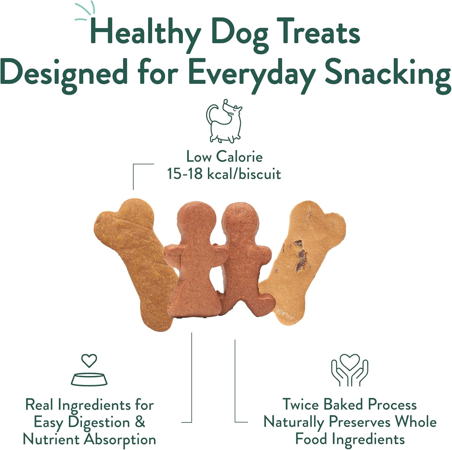 image:imagePortland Pet Food Company Pumpkin Dog Treats Healthy Biscuits for Small Medium amp Large Dogs GrainFree HumanGrade All Natural Cookies Snacks amp Puppy Training Treats Made in The USA 5 ozVariety