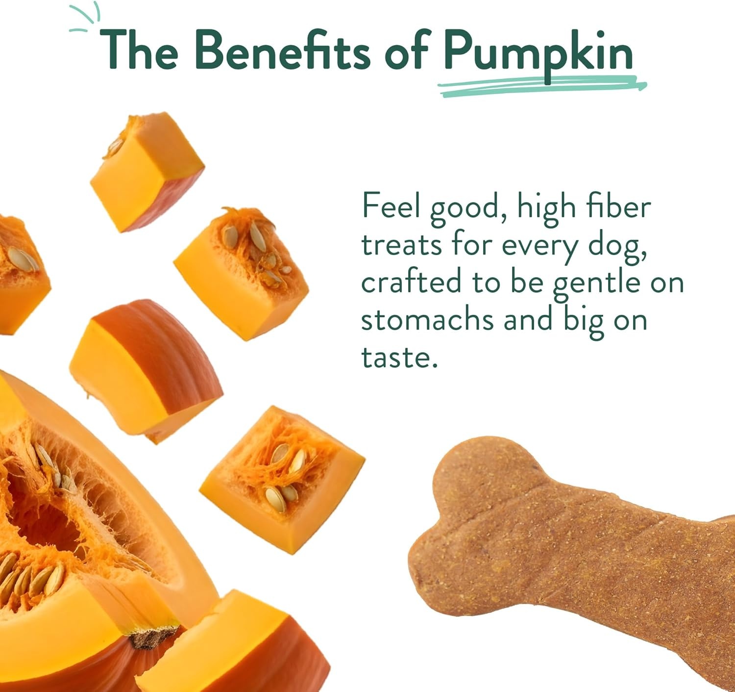 image:imagePortland Pet Food Company Pumpkin Dog Treats Healthy Biscuits for Small Medium amp Large Dogs GrainFree HumanGrade All Natural Cookies Snacks amp Puppy Training Treats Made in The USA 5 ozPumpkin