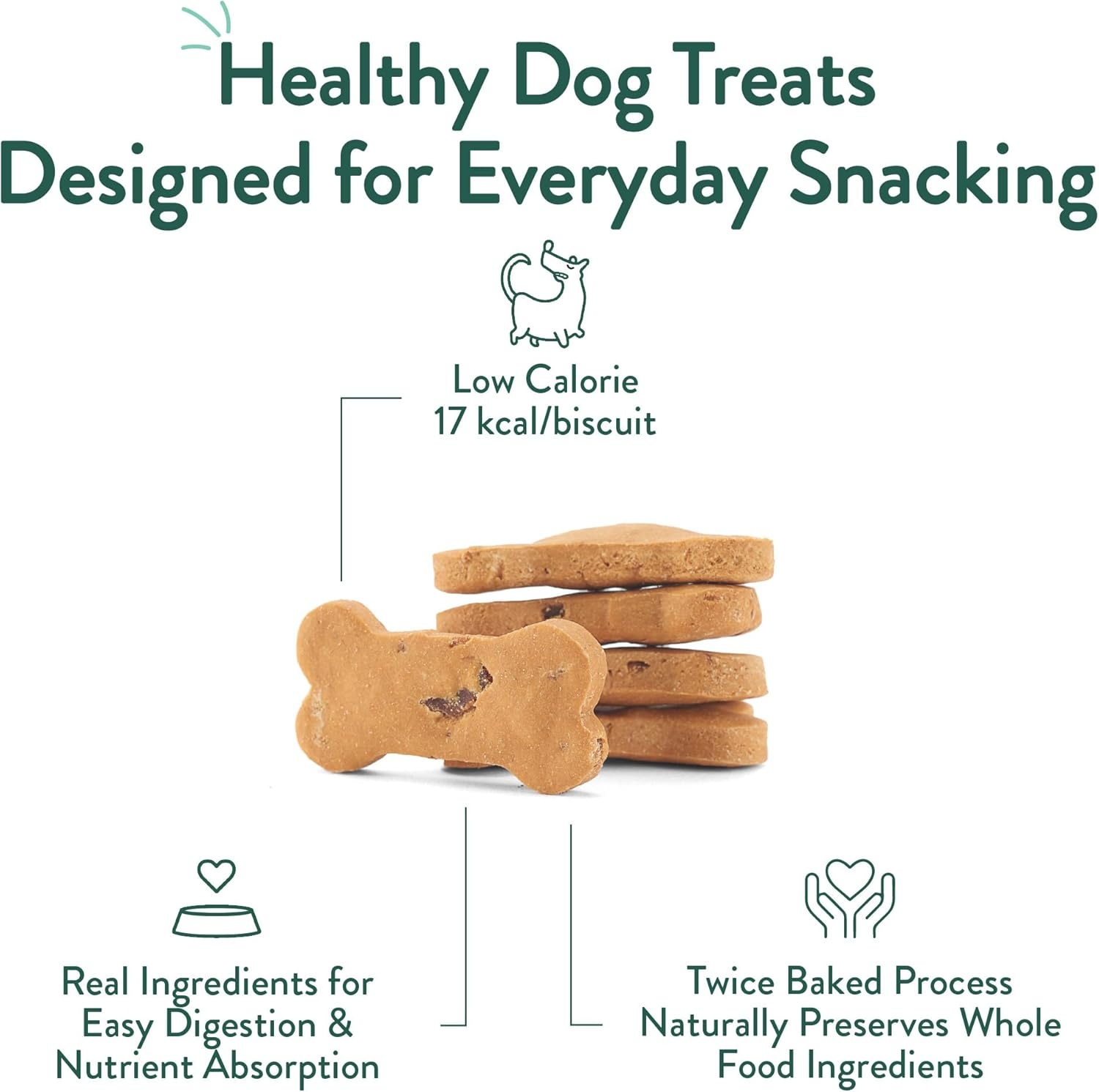 image:imagePortland Pet Food Company Pumpkin Dog Treats Healthy Biscuits for Small Medium amp Large Dogs GrainFree HumanGrade All Natural Cookies Snacks amp Puppy Training Treats Made in The USA 5 ozBacon