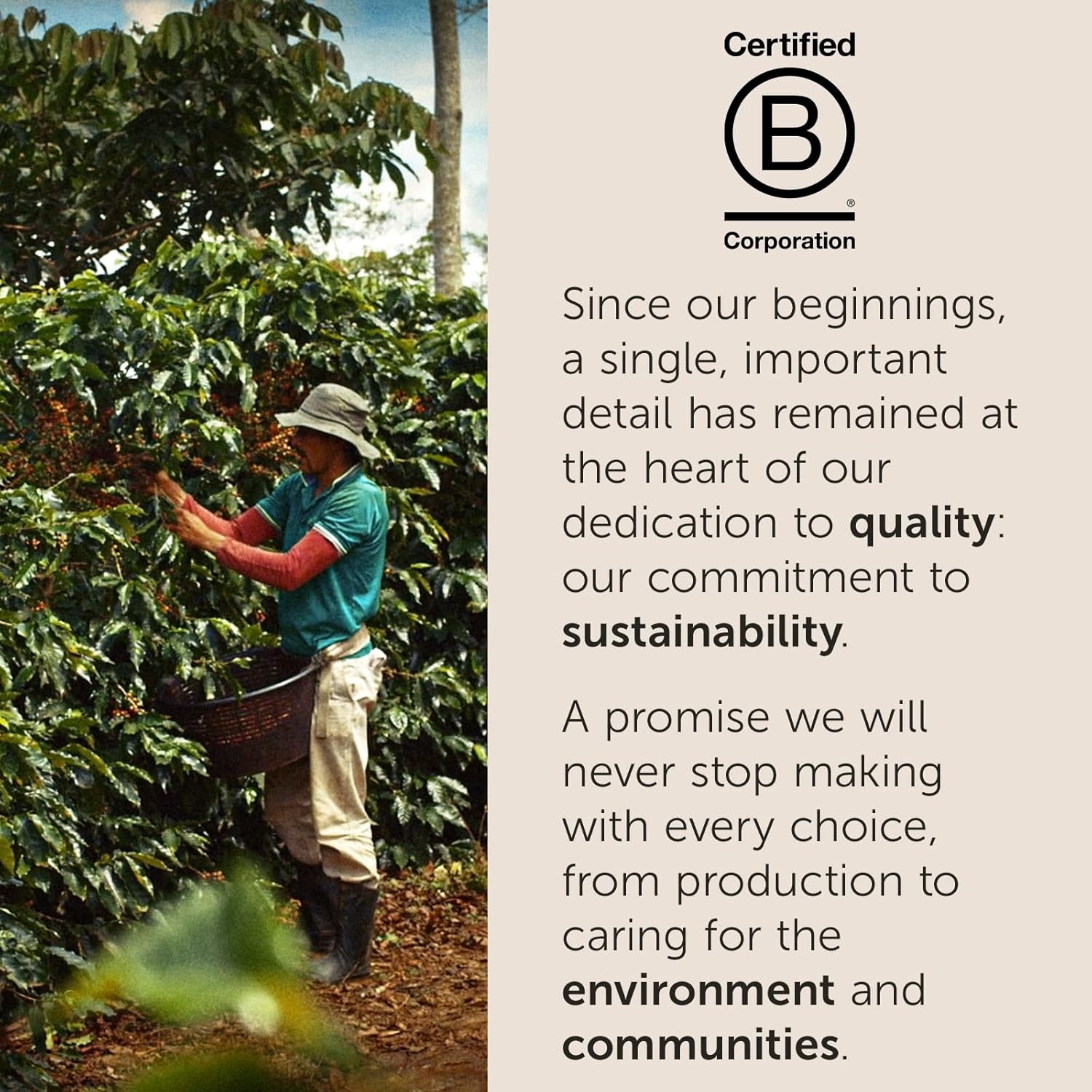 image:imageIlly Caffe Medium Roast Espresso Classico Ground Coffee 88 OZClassico Medium Roast Ground Espresso