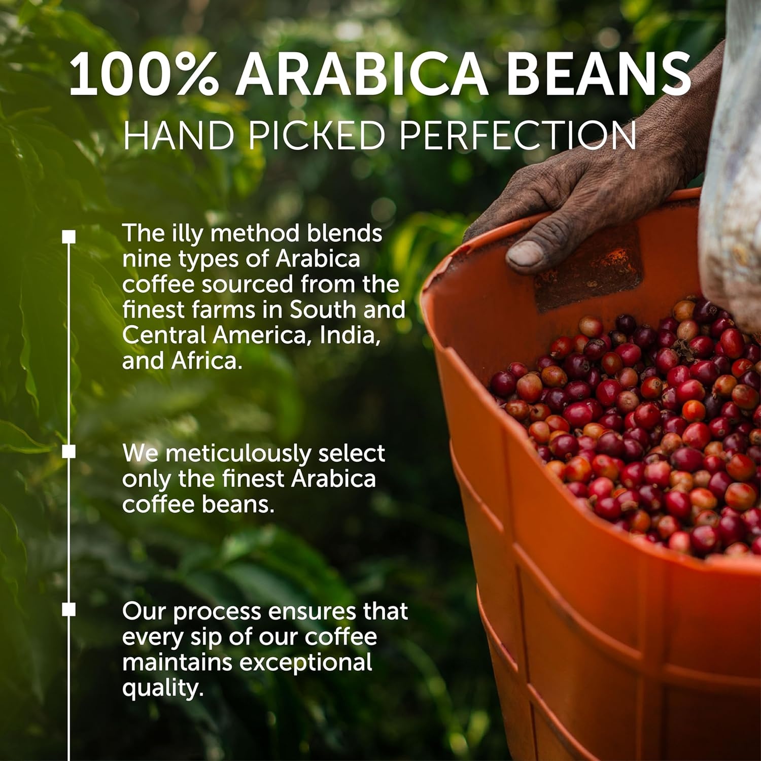 image:imageIlly Caffe Medium Roast Espresso Classico Ground Coffee 88 OZIntenso Bold Roast Ground Drip