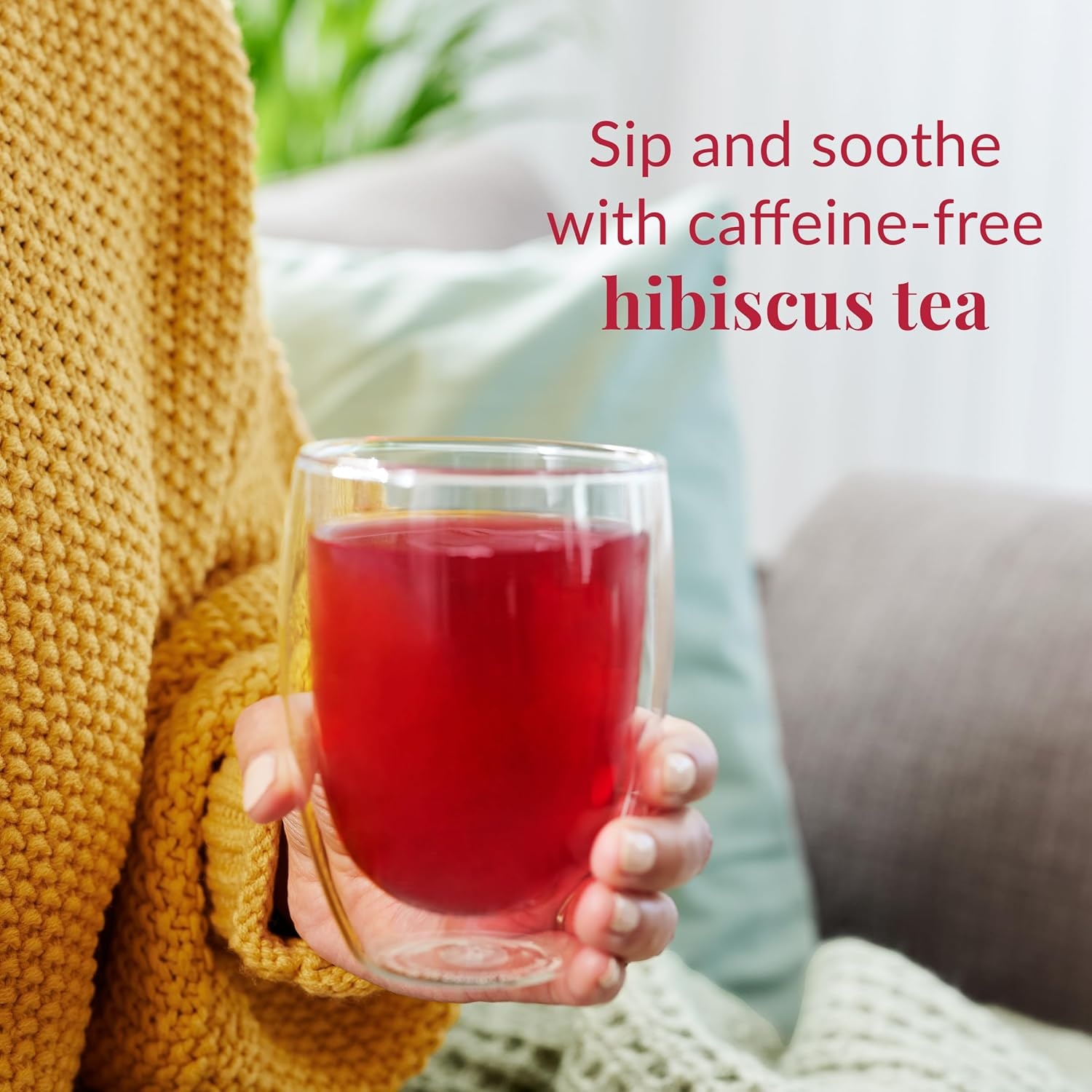 image:imageThe Republic of Tea Hibiscus Blueberry Superflower Herbal Tea 36 Tea Bag Tin36 Count Pack of 1