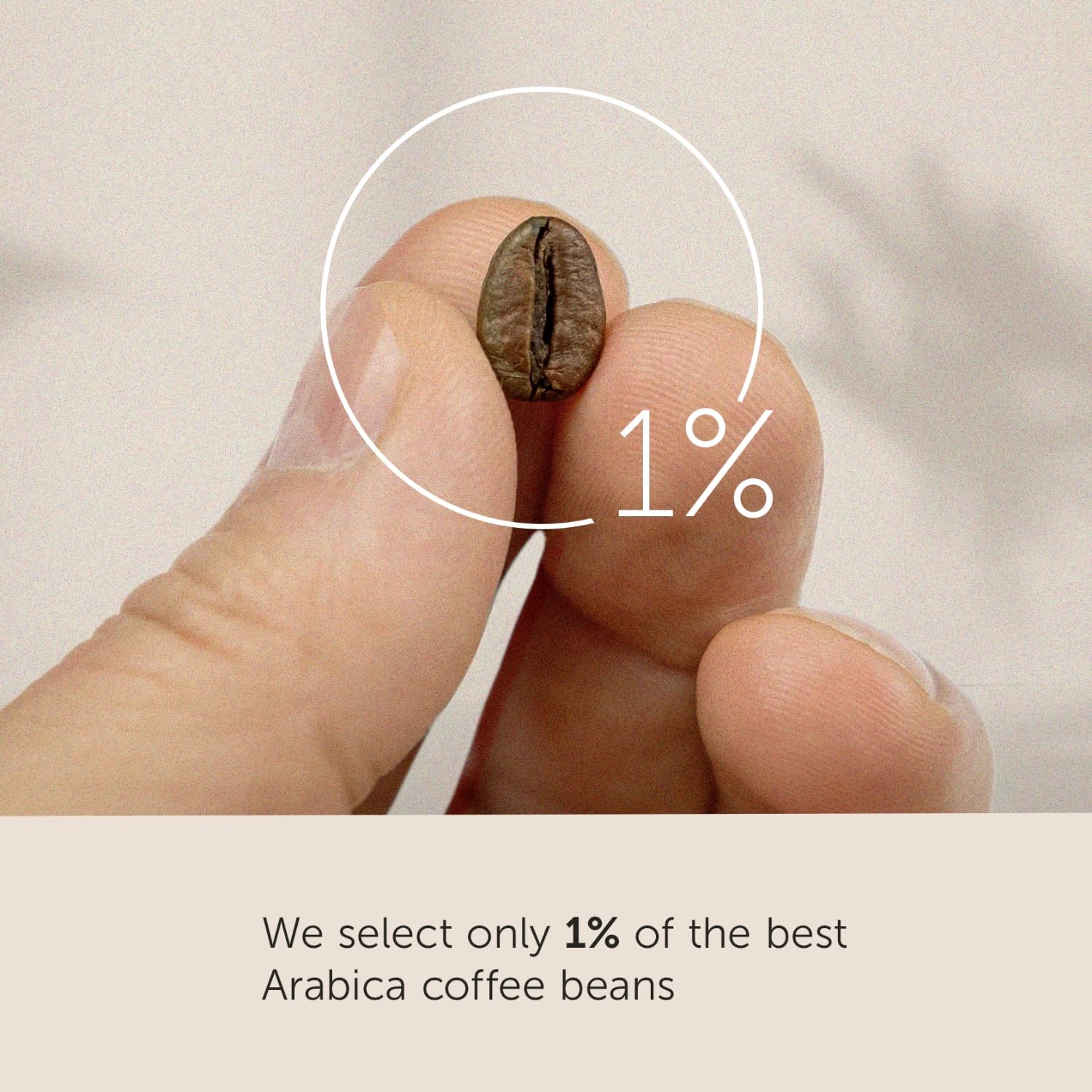 image:imageilly Whole Bean Coffee Perfectly Roasted Colombia Medium Roast Smooth Taste Notes of Fruit Fruit Notes 100 Arabica Beans No Preservatives 88 OunceBrasile Regenerative Agriculture