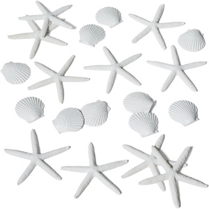 image:imageSur La Table Seaside 20Piece Scatter White